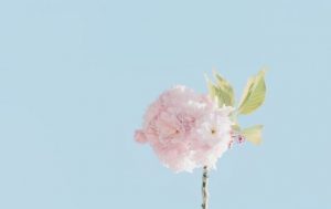 双鱼座彻底放弃一个人的表现是什么-泡学网-奕声情感,PUA,展示面,撩妹,聊天,情感挽回,泡学书籍,迷男方法,泡学网白鹤,搭讪,恋爱技巧,泡妞秘籍,社交软件,怎么追女生