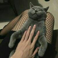 你好坏,你好坏,但我竟无力抵抗!-泡学网-奕声情感,PUA,展示面,撩妹,聊天,情感挽回,泡学书籍,迷男方法,泡学网白鹤,搭讪,恋爱技巧,泡妞秘籍,社交软件,怎么追女生