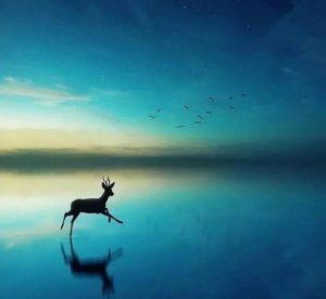 有深度有涵养的句子，句句精妙在理！-泡学网-奕声情感,PUA,展示面,撩妹,聊天,情感挽回,泡学书籍,迷男方法,泡学网白鹤,搭讪,恋爱技巧,泡妞秘籍,社交软件,怎么追女生