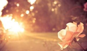 感情挽回的句子-泡学网-奕声情感,PUA,展示面,撩妹,聊天,情感挽回,泡学书籍,迷男方法,泡学网白鹤,搭讪,恋爱技巧,泡妞秘籍,社交软件,怎么追女生