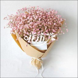 满天星的花语和寓意,送女朋友满天星会被打-泡学网-奕声情感,PUA,展示面,撩妹,聊天,情感挽回,泡学书籍,迷男方法,泡学网白鹤,搭讪,恋爱技巧,泡妞秘籍,社交软件,怎么追女生