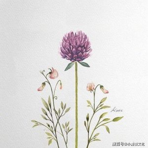 关于情感的句子,拨动心弦-泡学网-奕声情感,PUA,展示面,撩妹,聊天,情感挽回,泡学书籍,迷男方法,泡学网白鹤,搭讪,恋爱技巧,泡妞秘籍,社交软件,怎么追女生