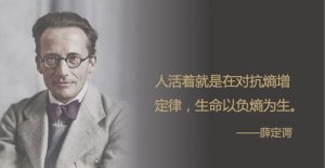 用熵增定律理解人生-泡学网-奕声情感,PUA,展示面,撩妹,聊天,情感挽回,泡学书籍,迷男方法,泡学网白鹤,搭讪,恋爱技巧,泡妞秘籍,社交软件,怎么追女生