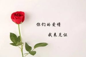 打动人心的5个字,浪漫的情话短句-泡学网-奕声情感,PUA,展示面,撩妹,聊天,情感挽回,泡学书籍,迷男方法,泡学网白鹤,搭讪,恋爱技巧,泡妞秘籍,社交软件,怎么追女生