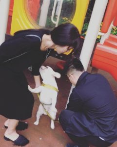 浪迹情感实战案例：后来的我们，重新爱在了一起！-泡学网-奕声情感,PUA,展示面,撩妹,聊天,情感挽回,泡学书籍,迷男方法,泡学网白鹤,搭讪,恋爱技巧,泡妞秘籍,社交软件,怎么追女生