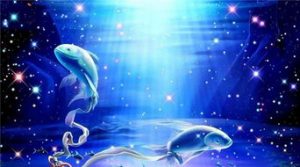 2月份是什么星座-泡学网-奕声情感,PUA,展示面,撩妹,聊天,情感挽回,泡学书籍,迷男方法,泡学网白鹤,搭讪,恋爱技巧,泡妞秘籍,社交软件,怎么追女生