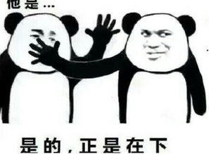 一段感动到哭的表白，你却感动到哭-泡学网-奕声情感,PUA,展示面,撩妹,聊天,情感挽回,泡学书籍,迷男方法,泡学网白鹤,搭讪,恋爱技巧,泡妞秘籍,社交软件,怎么追女生