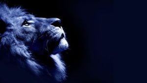 和狮子男冷战必赢方法,教你虐狮子男-泡学网-奕声情感,PUA,展示面,撩妹,聊天,情感挽回,泡学书籍,迷男方法,泡学网白鹤,搭讪,恋爱技巧,泡妞秘籍,社交软件,怎么追女生