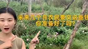 你有毒吧这句话是什么意思-泡学网-奕声情感,PUA,展示面,撩妹,聊天,情感挽回,泡学书籍,迷男方法,泡学网白鹤,搭讪,恋爱技巧,泡妞秘籍,社交软件,怎么追女生